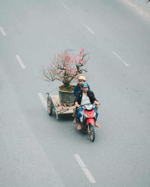 552 bus schedule pdf